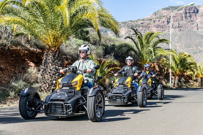 Can-am Ryker three wheels tricycle Mountain Tour (Maspalomas) - Should You Book the Can-Am Ryker Mountain Tour?