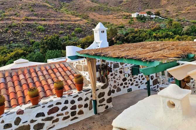 Canarian farmhouse in Mogan, mango farm and vermouth factory - Key Things You’ll Notice on This Mogán Farmhouse Tour