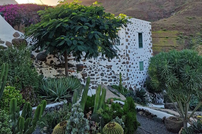 Canarian farmhouse in Mogan, mango farm and vermouth factory - Who Should Book This Mogán Farmhouse Tour