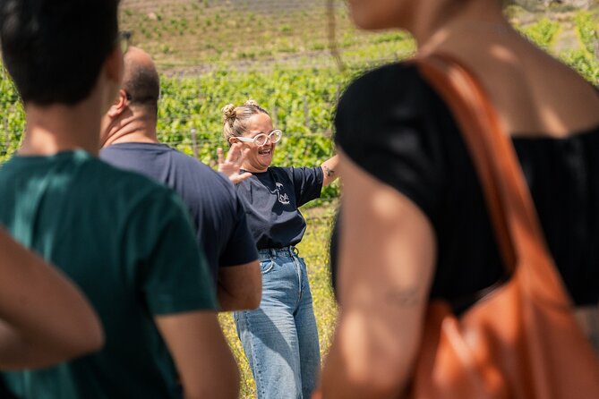 Canarian Wine Experience at Bodega los Lirios - The tasting at the restaurant: Llantén red wine and local picoteo