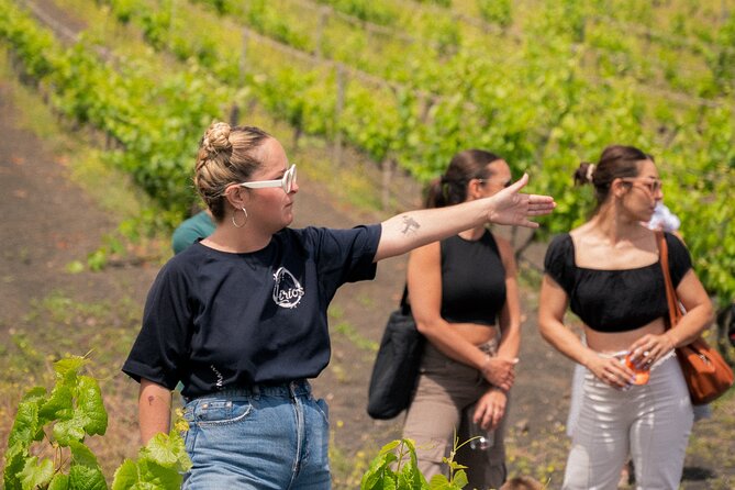 Canarian Wine Experience at Bodega los Lirios - Why the Bandama Volcano setting matters (more than scenery)