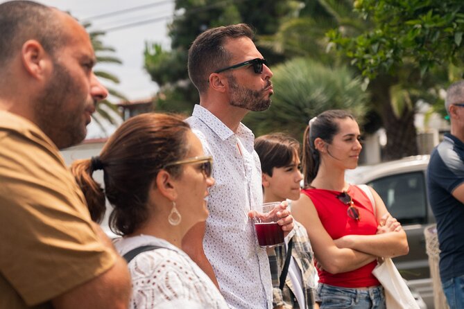 Canarian Wine Experience at Bodega los Lirios - Price and value: what $19.31 buys you here