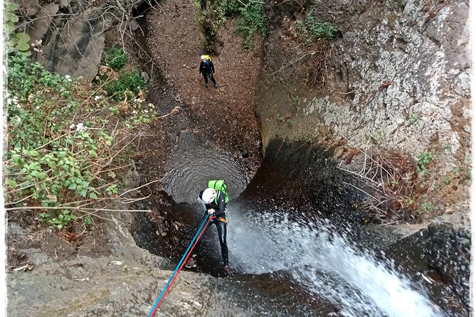 Canyoning in Gran Canaria: The Hidden Waterfalls and Magic Pools - Price and Value: Is $78.61 Worth It?