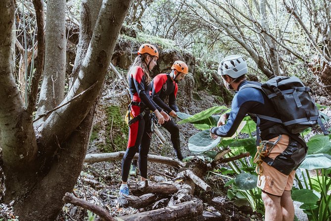 Canyoning with Waterfalls in the Rainforest - Small Groups ツ - Meet your guide: small groups, safety checks, and Victor-style calm