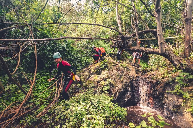 Canyoning with Waterfalls in the Rainforest - Small Groups ツ - Laurisilva forests and waterfall moments: what you’re going to see
