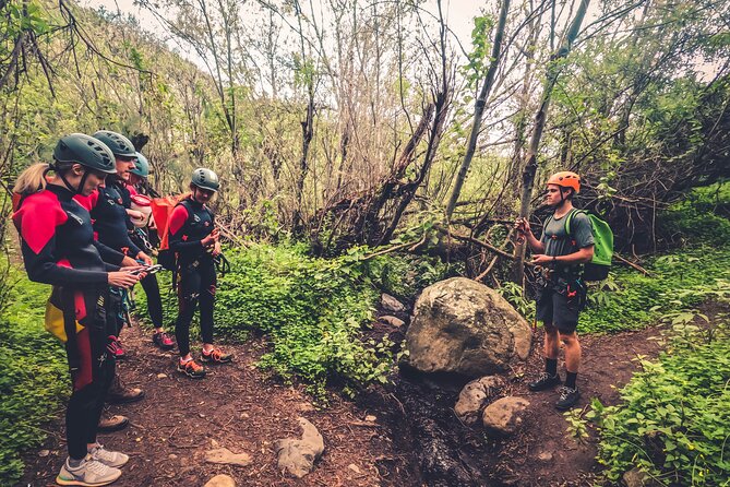 Canyoning with Waterfalls in the Rainforest - Small Groups ツ - From pickup to the first hike: the day’s real timeline