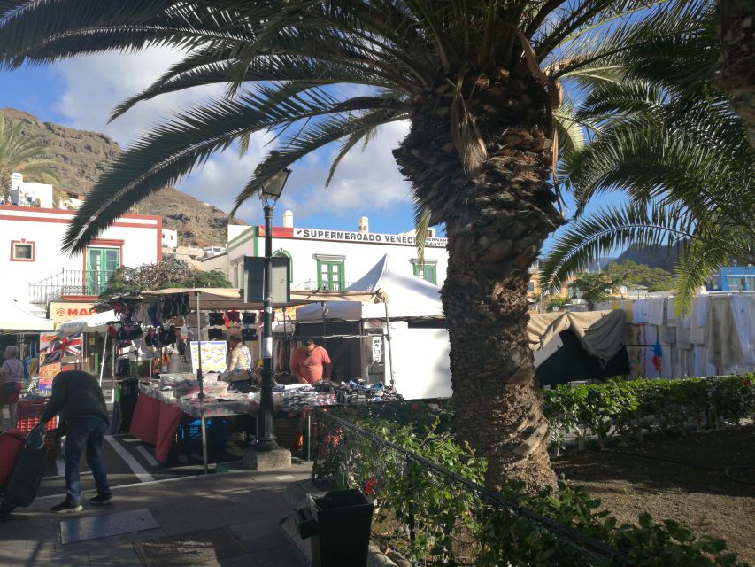 City Treasures Unveiled: 3.5-Hour Las Palmas Cab & Walking - Meeting Point That Actually Works If You’re on a Tight Schedule