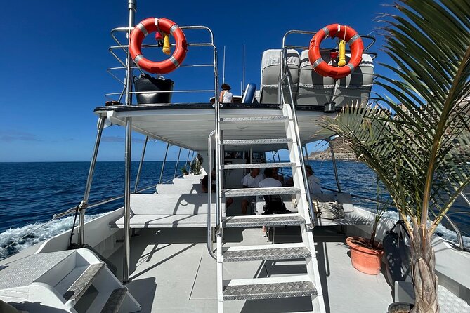 Classic Boat Trip through South Gran Canaria - Key things to know before you go