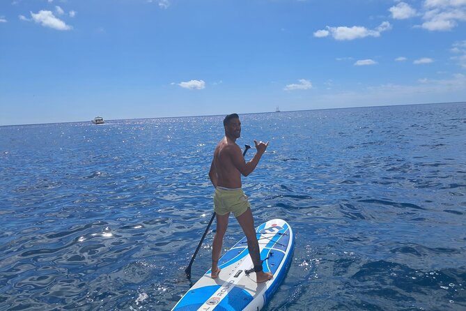 Classic Boat Trip through South Gran Canaria - Who should book this boat trip—and who should think twice