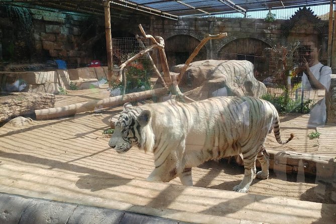 Cocodrilo Park Zoo Admission Ticket in Agüimes - Getting around on foot: heat, shade, and path conditions