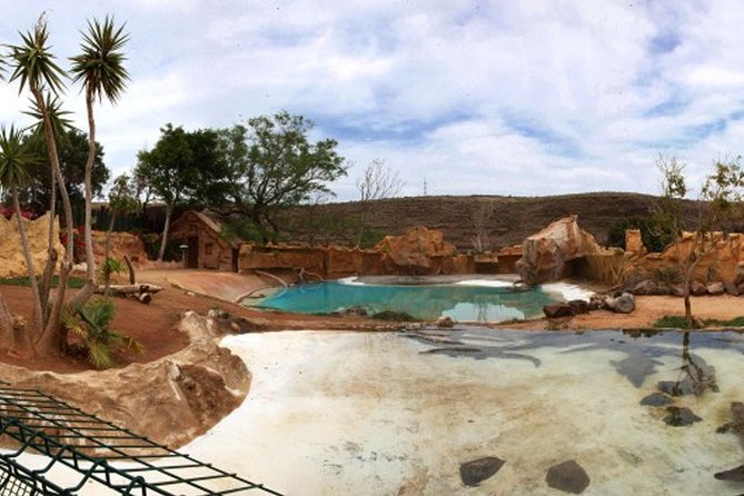 Cocodrilo Park Zoo Admission Ticket in Agüimes - Getting there in Agüimes: public transit sounds close, taxis may be easier