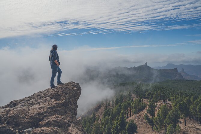 Custom Private & VIP Highlights Tour of Gran Canaria - Key Things That Make This Tour Worth It
