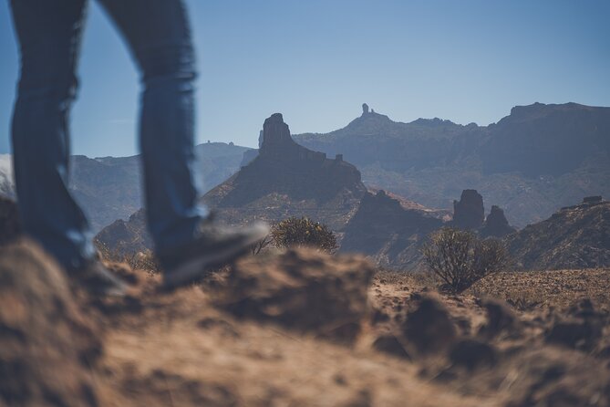 Custom Private & VIP Highlights Tour of Gran Canaria - Arucas Church and Firgas Water: A Calmer North-Pace Break