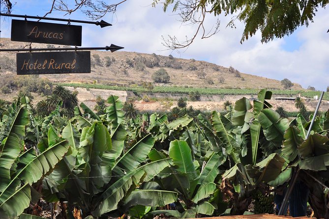 Day Tour in North of Gran Canaria with Wine Tasting - Getting There Without Stress: Coach, Minivan, and a Small Group