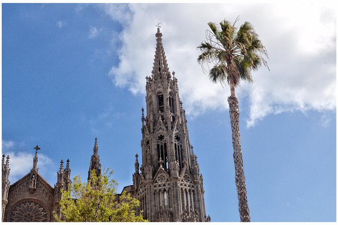 Day Tour in North of Gran Canaria with Wine Tasting - Price and Value: Is $55.51 Worth It?