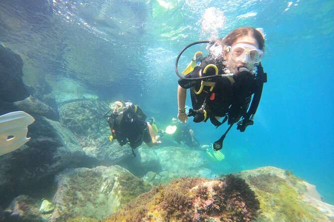 Discover Scuba Dive in Gran Canaria - A Half-Day Scuba Session From Gran Canaria’s South Coast