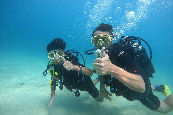 Discover Scuba Dive in Gran Canaria - What You’ll See Off Gran Canaria: Parrot Fish to Sting Rays