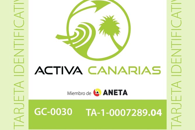 Discover Scuba Dive in Gran Canaria - Transfers and Time Windows: The One Risk to Watch
