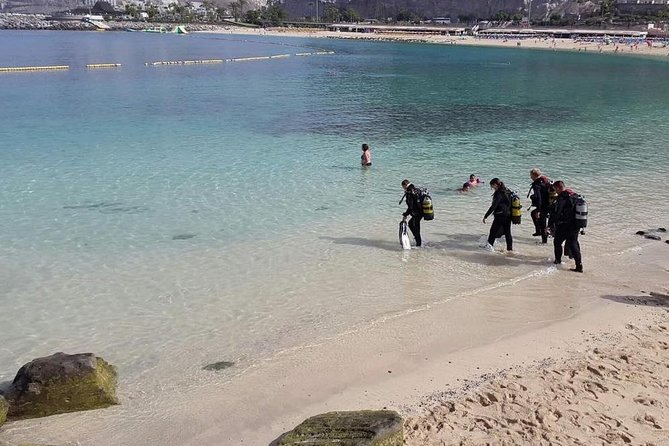 Discover Scuba diving in Gran Canaria with Hotel Pick-up - The safety culture: PADI instructors, attentive coaching, and small groups