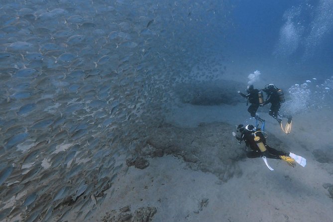 Discover Scuba Diving in Puerto de Mogan - Pool Practice: The Skills That Turn Nervous Into Capable