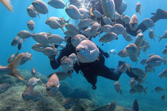 Discover Scuba Diving in Puerto de Mogan - The Morning Setup: Pickup, Meeting Point, and Safety Rules