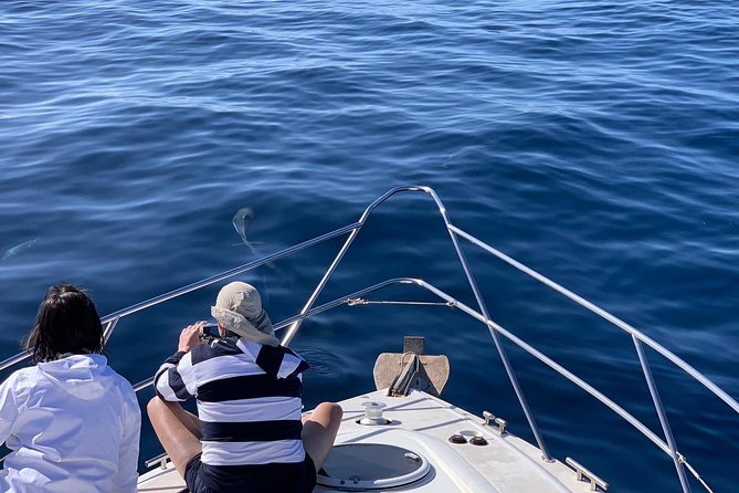 Dolphin Searching Tour in Puerto de Mogán ("KEEPER UNO" Boat) - Sea sickness and choppy days: plan smarter than you think