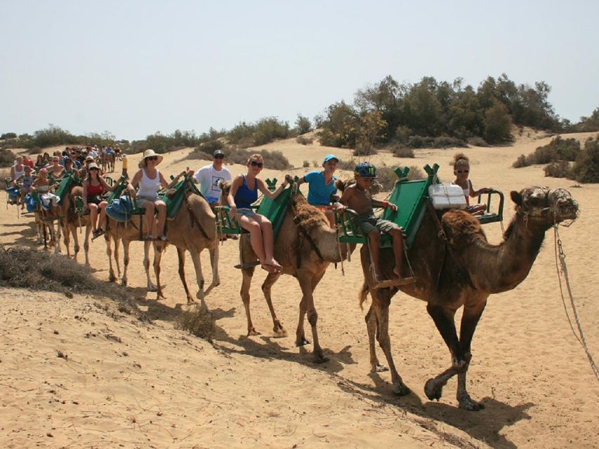 E-Bike City Tour included Camel Tour inside Maspalomas Dunes - Blue Lagoon Stop: Birds, an Oasis Feel, and a Breather
