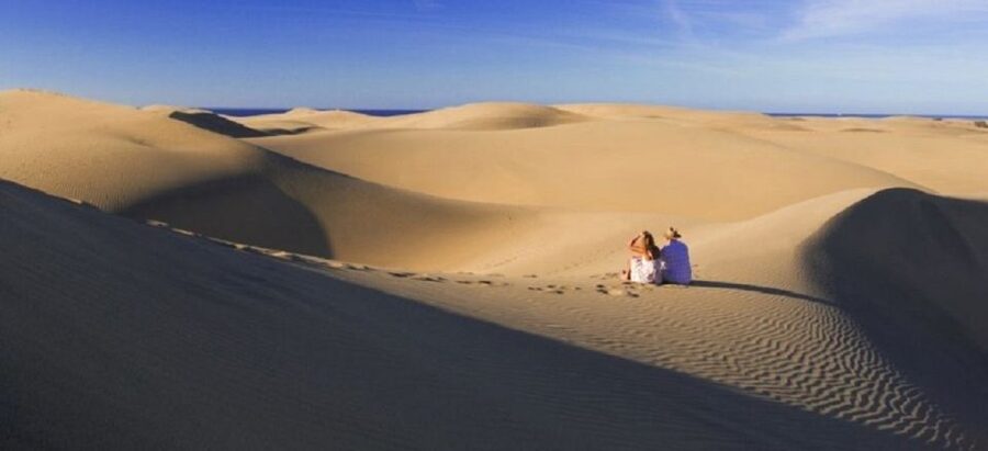 E-Bike City Tour included Camel Tour inside Maspalomas Dunes - The Return to Playa del Ingles: Wrap-Up and What’s Included
