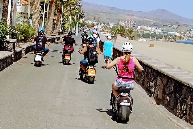 E-Bike Family Tour : Sightseeing in Playa Ingles,Maspalomas Dunes - The Protected Las Dunas Stop: Seeing How the Dunes Form