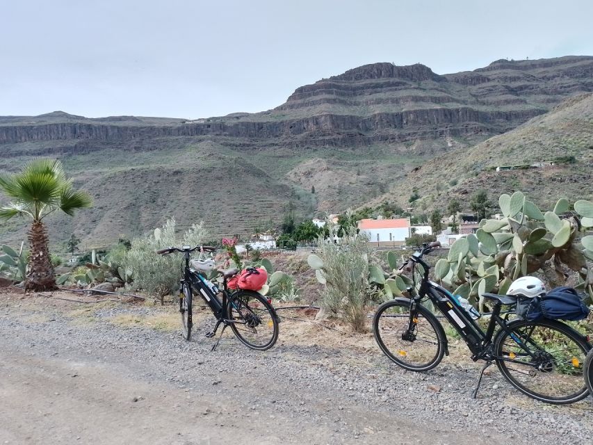 E-Bike Mountain Tour in Natural Park +Option Tapas in a Cave - Parque del Sur Plant-Spotting: Learning Without a Classroom Vibe