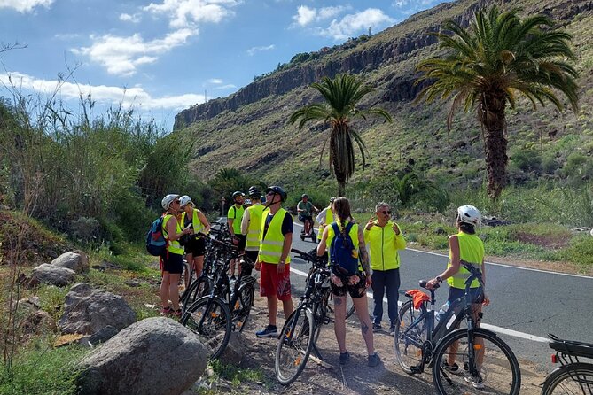 e-Bike Mountain Tour inside a Natural Park+option Tapas in a Cave - La Cuevita cave tapas bar: your optional detour into local flavors