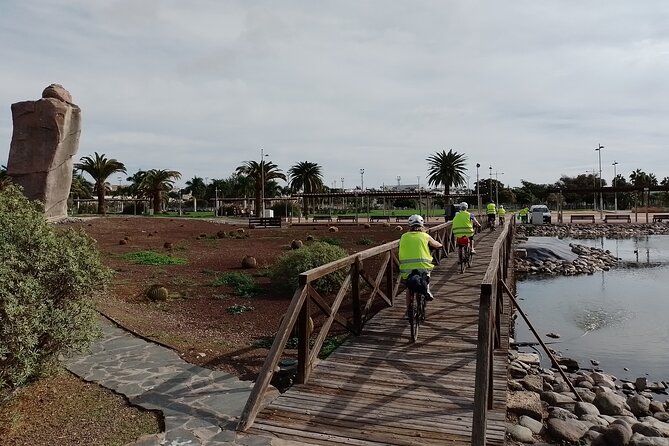 E-Bike Rental 80 km Battery life: Gran Canaria Mountains or Coast - Botanical Park of Maspalomas and Punta Mujeres: breaks with plants and prehistory