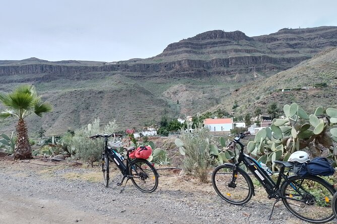 E-Bike Rental 80 km Battery life: Gran Canaria Mountains or Coast - Stop 1: Ayagaures Hábitat Arte, cave tapas, and goat-farm scenery
