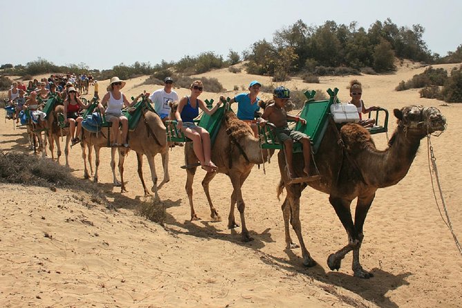 e-Scooter City Tour + Camel Ride inside Maspalomas Dunes - Golden dunes nature reserve: seeing Maspalomas without burning your legs