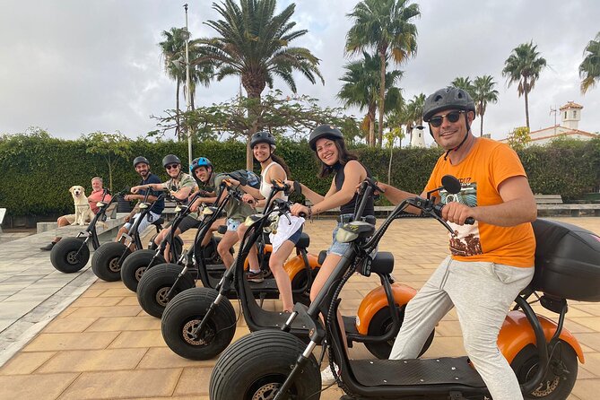 e-Scooter City Tour + Camel Ride inside Maspalomas Dunes - Botanical Garden and Charca lagoon: the birdwatching stop that adds depth