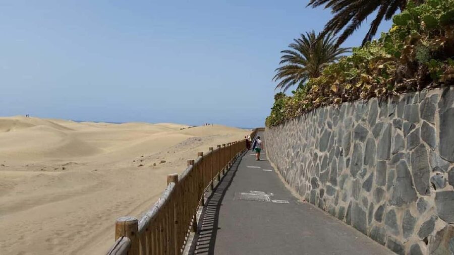 e-Scooter Kickstart CitySightseeing Maspalomas View Points - Campo Internacional bike lines: plant spotting with a guide