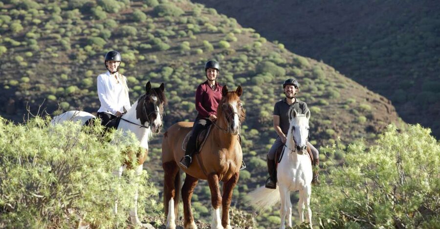 El Salobre: Horse Riding Adventure with Transfer Options - Entering El Salobre Ranch: meeting horses and guides
