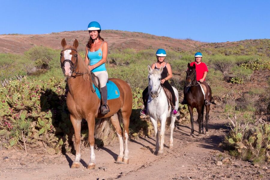 El Salobre: Horse Riding Adventure with Transfer Options - Horse matching for mixed levels: how guides keep everyone together