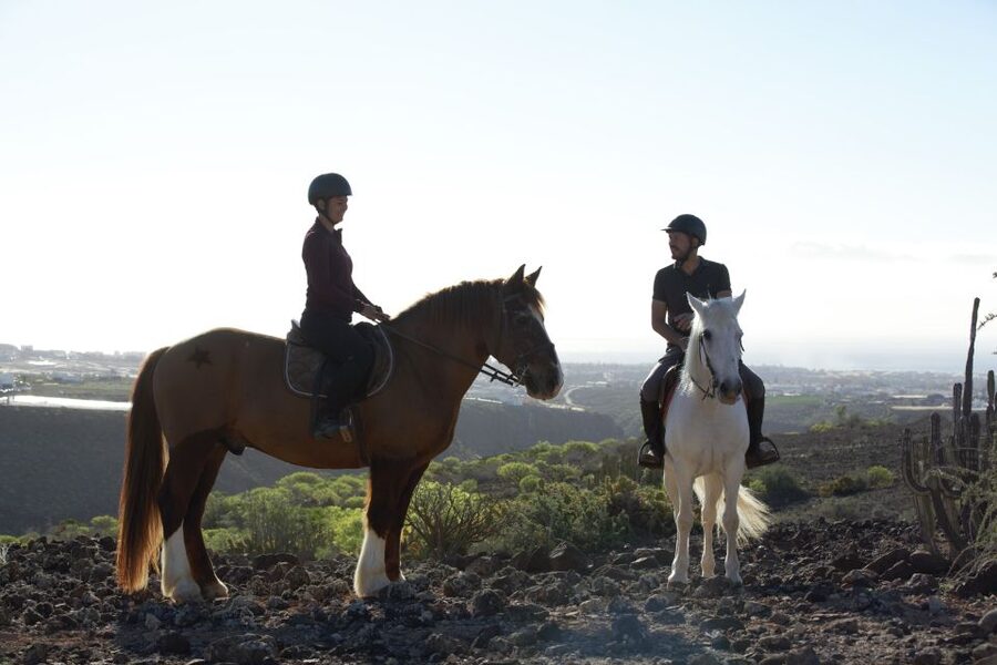 El Salobre: Horse Riding Adventure with Transfer Options - Trot and gallop on the 2-hour tour: when it happens