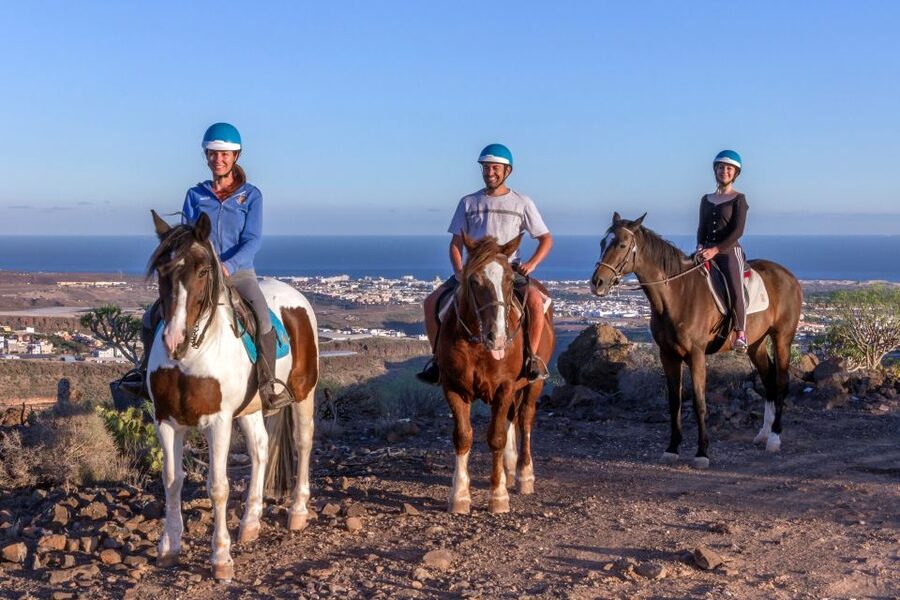 El Salobre: Horse Riding Adventure with Transfer Options - Safety gear, horse welfare, and comfort you’ll notice