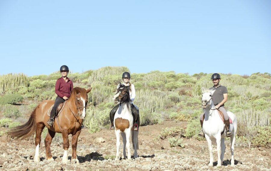 El Salobre: Horse Riding Adventure with Transfer Options - Should you book El Salobre in Gran Canaria?
