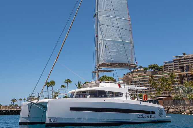 Exclusive Private Charter in Gran Canaria - Key points to know before you go