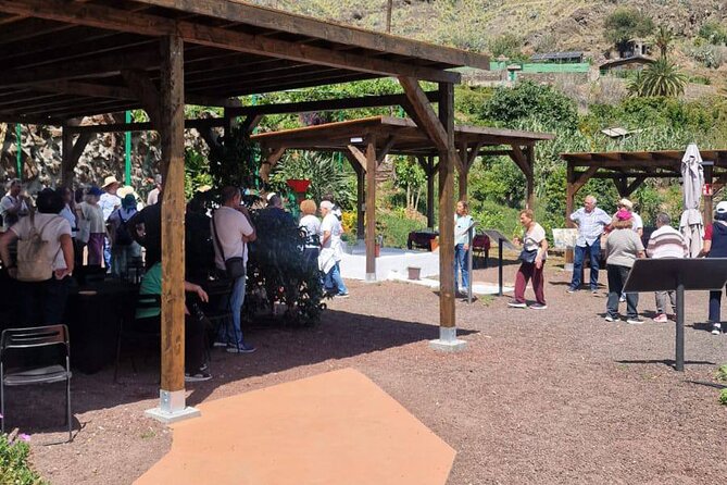 Explore Gran Canaria’s Coffee at Finca Los Castaños - Entering Finca Los Castaños: The Guided Walk You’ll Actually Remember