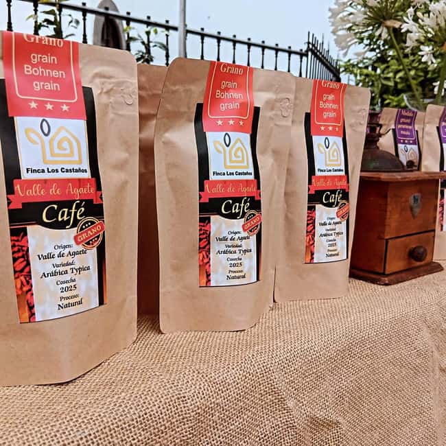 Finca Los Castaños: Agaete Valley Coffee Tour & Tasting - Why Finca Los Castaños feels different from other coffee stops