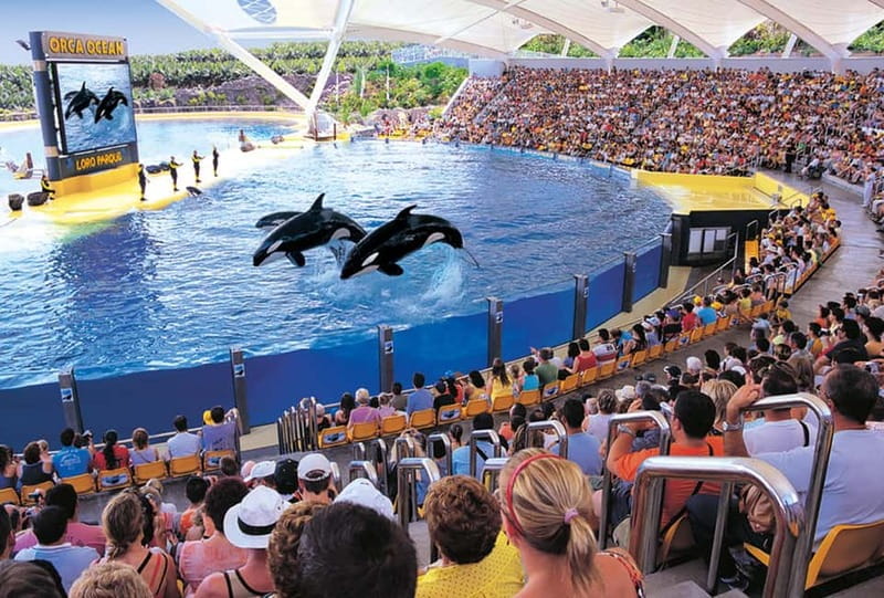 From Gran Canaria: Day Trip to Loro Parque Tenerife - Parrots, tortoises, and seahorses: the best contrasts in the park