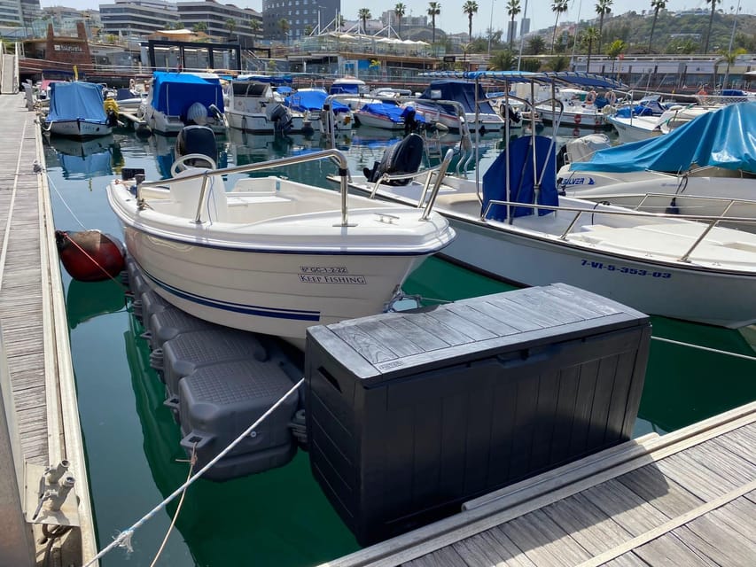 From las Palmas : Day sailing experience along the coast - Quick highlights