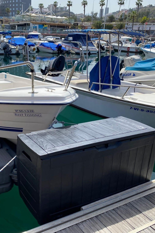 From las Palmas : Day sailing experience along the coast - Should You Book This Sail Along Gran Canaria’s Coast?