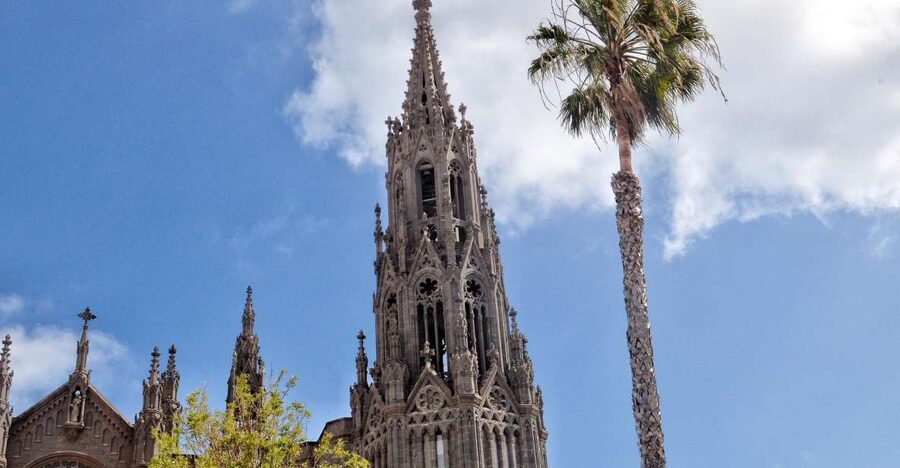 From Las Palmas: Full-Day Tour of the North - Key things I’d plan around