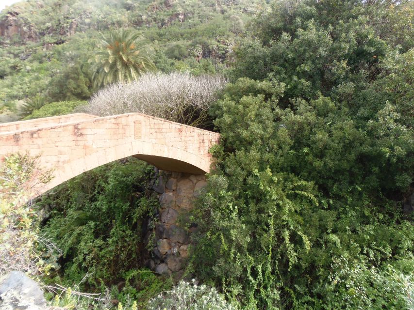 From Las Palmas: Full-Day Tour of the North - Price and value: is $54 a good deal?