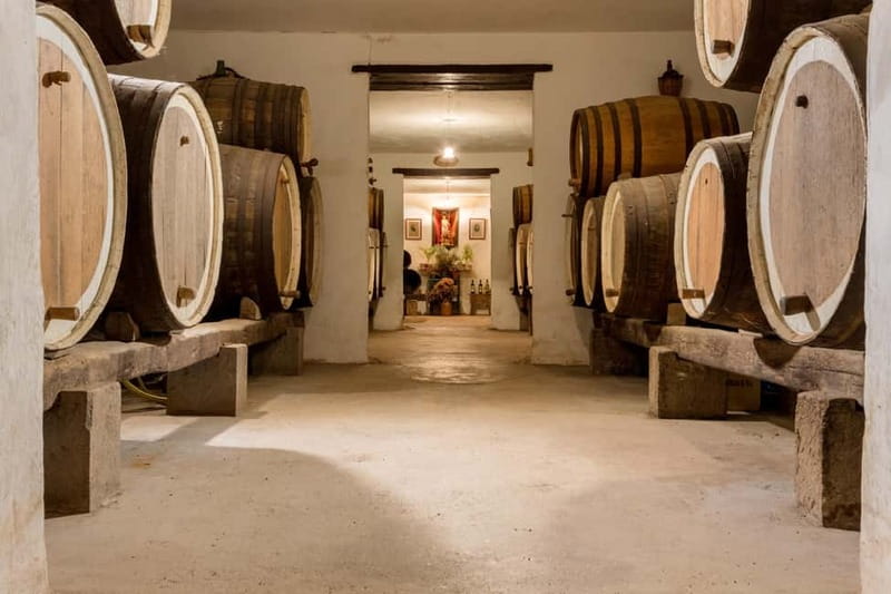 From Las Palmas: Half day tour Volcano Bandama & Vineyard - Tafira Botanical Garden: the calm start that sets the tone